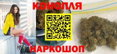 шишки Кандалакша
