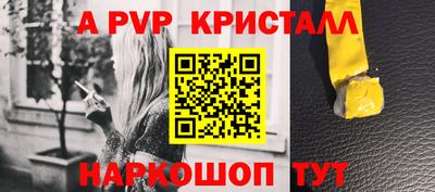 шишки Кандалакша