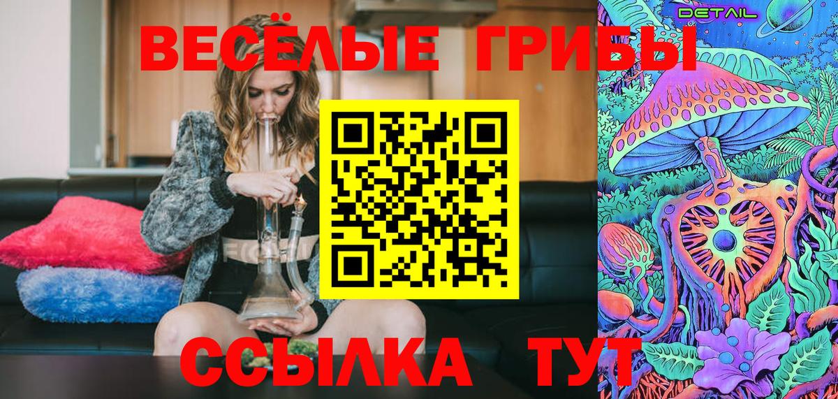 Галлюциногенные грибы Psilocybe Лабинск